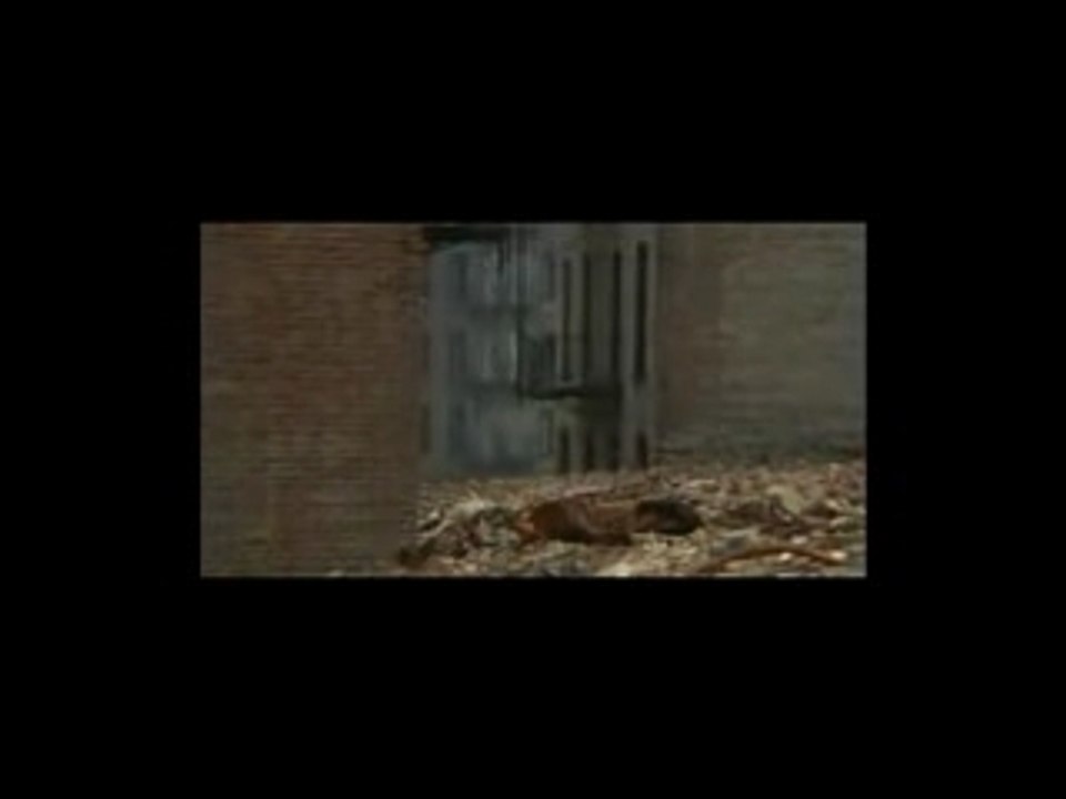 Aussitot mort - percuté