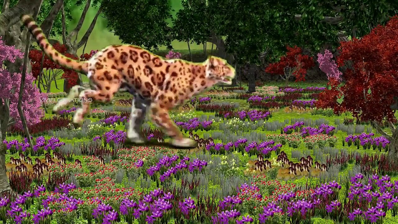 Wild Animals Finger Family Songs | Learn Wild Animals Names and Sounds | Wild Cat Finger Family song