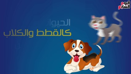 فيديو معلوماتى.. لو طفلك مصاب بالحساسية.. "5 أشياء"إبعديها عن بيتك