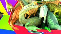 DINOSAUR Box 14 TOY COLLECTION - SAUROPODS - LONG NECKS Unboxing Toy Review SuperFunReviews