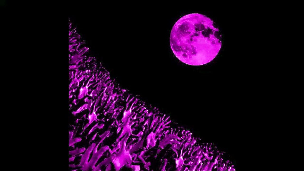 Muse - Sing for Absolution, Geneva Arena, 11/02/2003