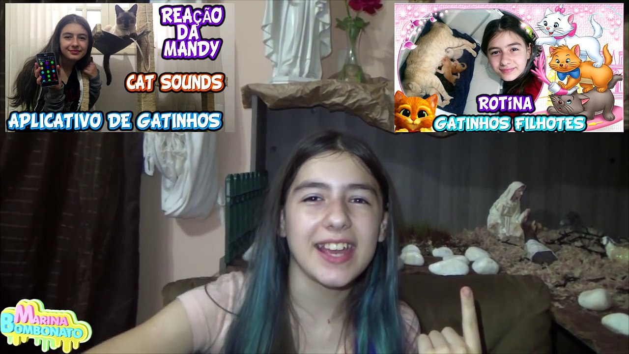 Rotina Gatinhos Filhotes Muita Fofura (Felino, Animal, Gato, Manhã, Tarde, Noite)