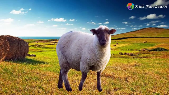 Finger Family Farm Animals Rhymes | Animals Finger Family Song | Animals farm for kids