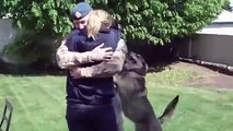 Canadian Soldier, Back Early from Deployment, Surprises Wife at Home