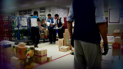 집배원 '죽음의 행렬'...연 100일 더 일한다 / YTN