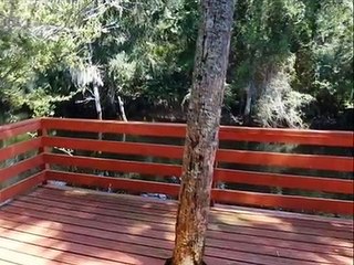 Family vacation home killington | Gulf coast family vacation home