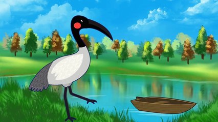 Sevimli Hayvanlar ve Sesleri | B Harfi