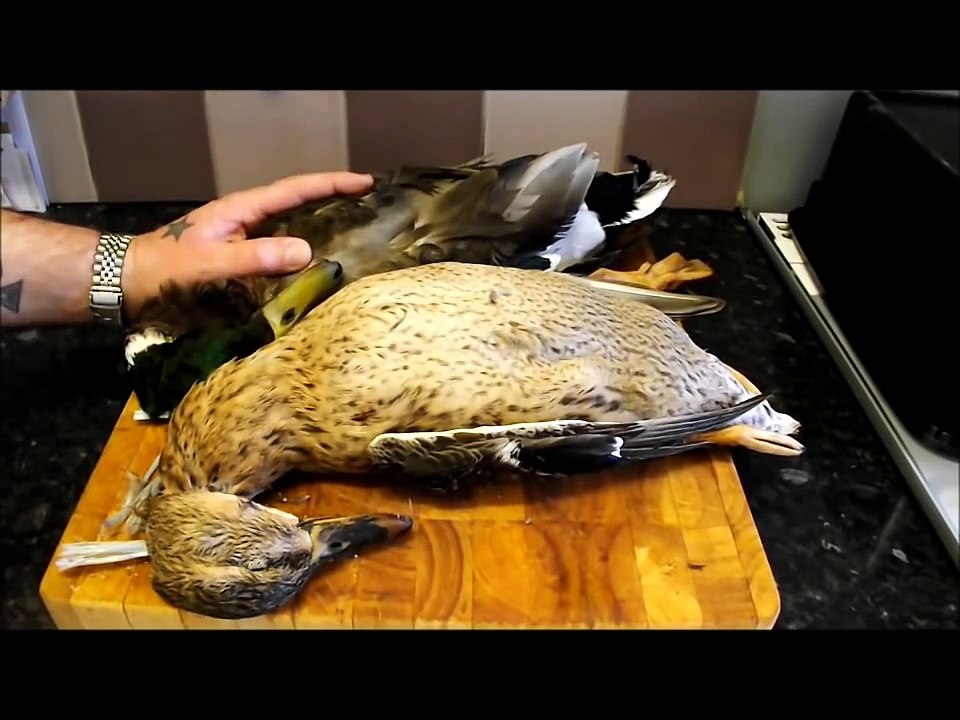 How To Prepare And Cook A Duck.( part 1.),Bird Preparation.