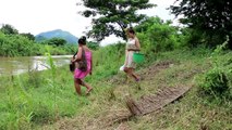 Amazing Fishing In Battambang - How To Catches Fishs - Cambodia Traditional Fishing (part 157)