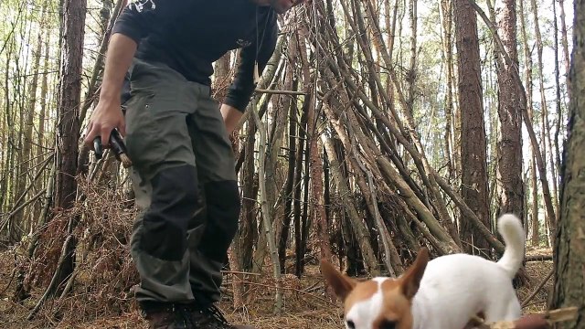 Bushcraft Camp Shelter - Campfire, Long Hike with my Dog, Folding Wood Stove