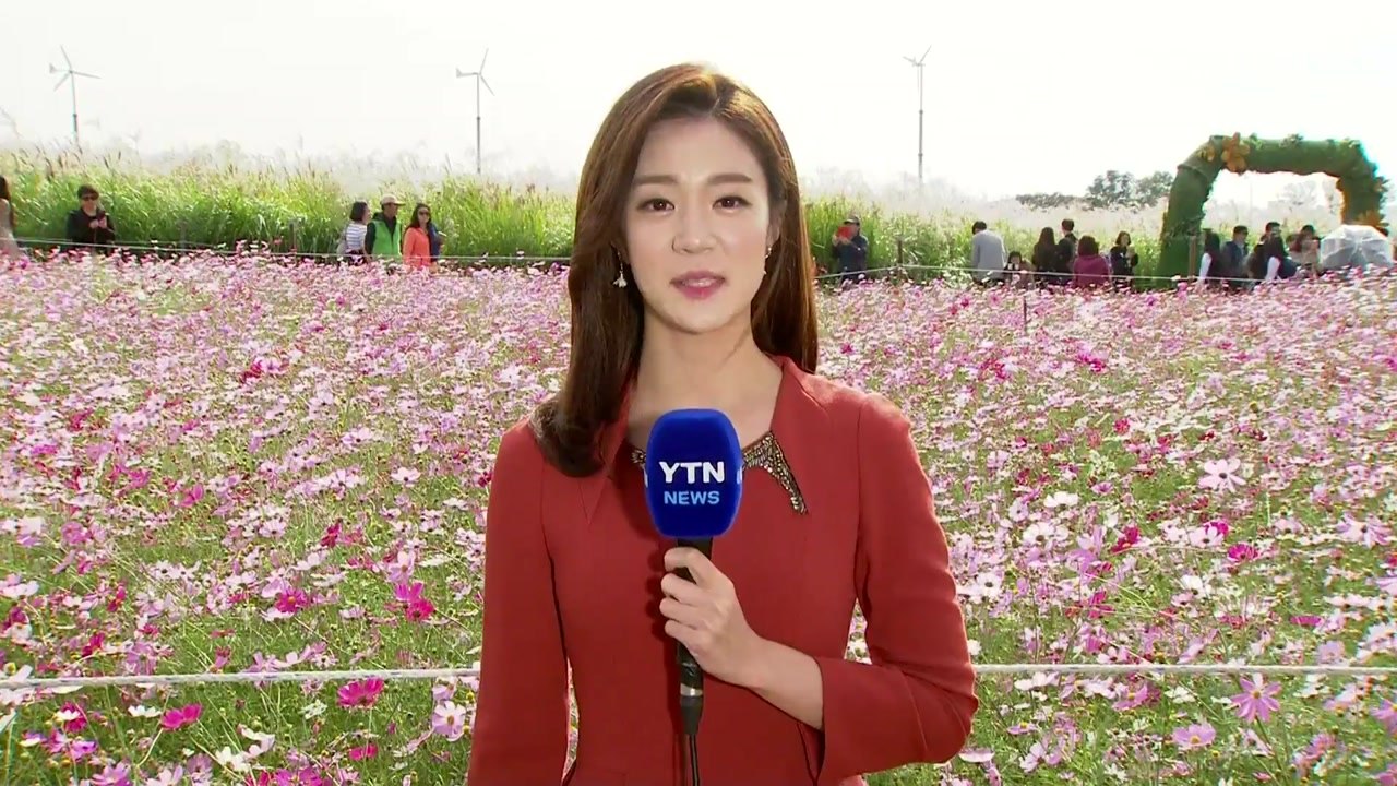 [날씨] 맑고 추위 점차 풀려...주말엔 선선한 가을 / YTN