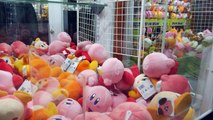Incredible UFO catcher wins at Round 1 arcade in Concord! | The Crane Couple