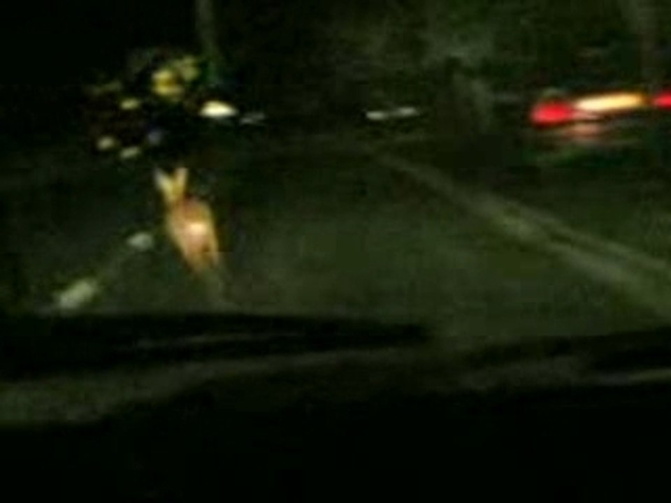 Biche danse la tecktonik