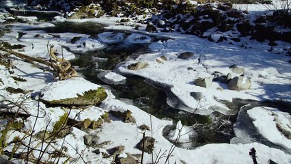 Alaska: A Year in the Wild #01 - Winter (2017 Wildlife documentary)