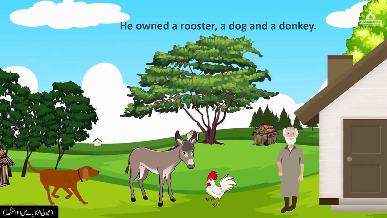 Kids Animation - Khaka - Amazing Jungle Story - Learning Kids Video -