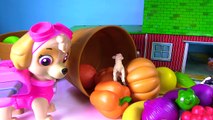 Paw Patrol Learn Colors Fruits Vegetable Names on Farm Learning Toys for Children Colours