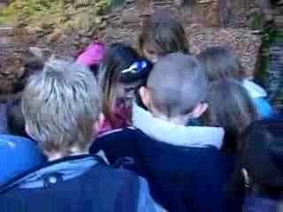 Balade contée "L'arbre à sorcières"