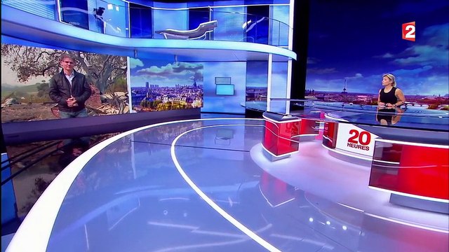 Incendies en Californie : des feux particulièrement destructeurs