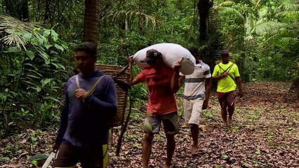 Local custodians of the Brazilian Amazon