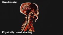 Open Inventor Medical Edition | Physically Based Shading | 3D Visualization Toolkit