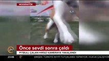 Önce sevdi sonra çaldı