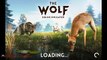 The Wolf : Online Simulator Gameplay Android / iOS