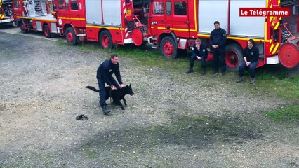 Police. Des professionnels de tous poils