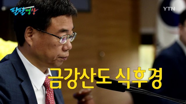 [팔팔영상] 웃고, 울고, 싸우고...결론은 금강산도 식후경 / YTN
