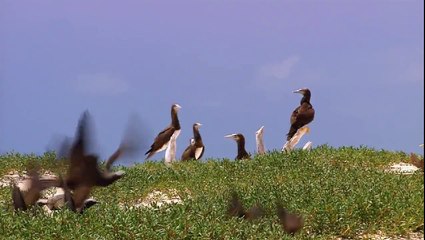 CDN Transition Test - DO NOT USE OR DELETE