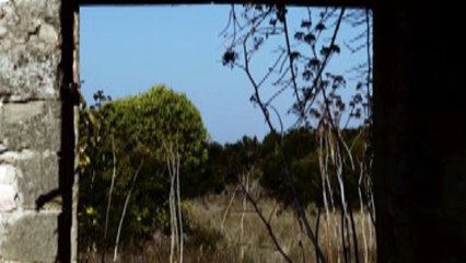 Trailer -Une marche en garrigue-