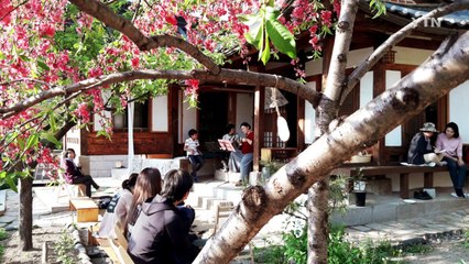 10월 매주 토요일 북촌에서 문화를 만나요! / YTN