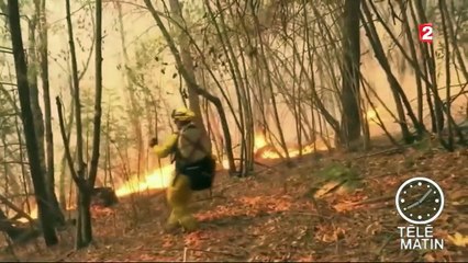 La Californie ravagée par les flammes