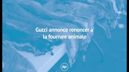 Gucci annonce renoncer à la fourrure animale