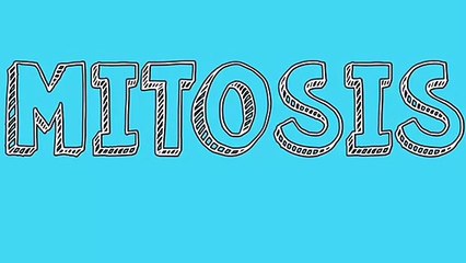 MITOSIS STOP MOTION