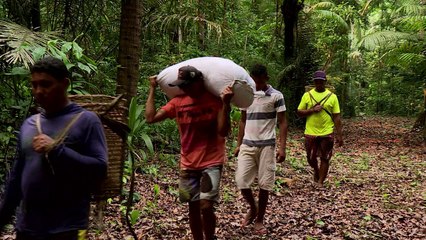 Guardiões locais da Amazônia brasileira