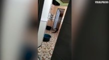 Une drôle de créature sort des toilettes en rampant (Malaisie)