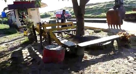 Workers scare away stray crocodile with a backhoe