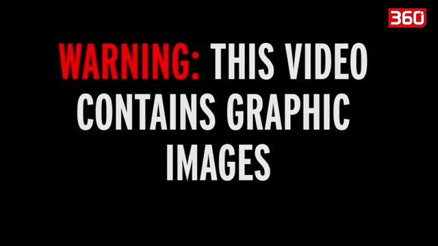 Çifti bën s*** në park, veprimi i vajzës habit akoma më tepër (360video)