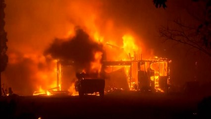 5일째 번지는 美 산불...수백 명 생사 미확인 / YTN