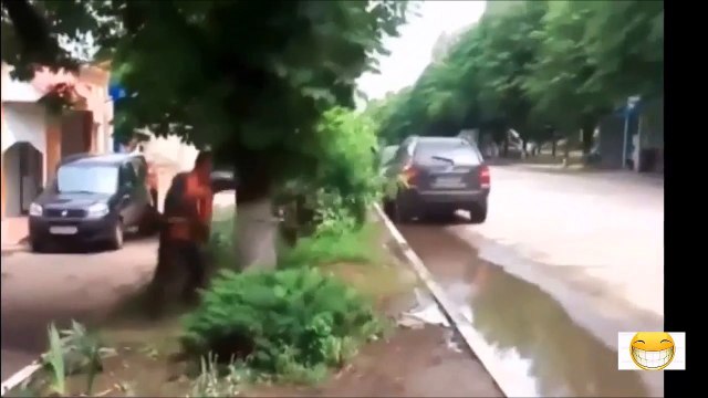 Si tu penses avoir tout vu, regarde cette compilation de fou