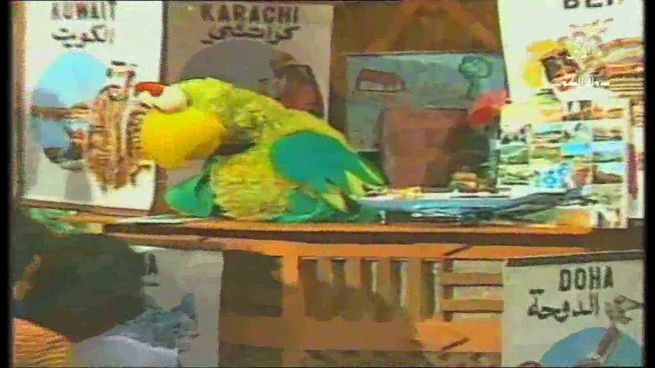 برنامج أفتح يا سمسم ح 104