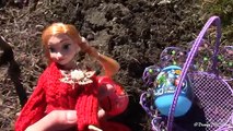 Easter Egg Hunt with Frozen Elsa, Frozen Anna and Disney Princesses | Story Video