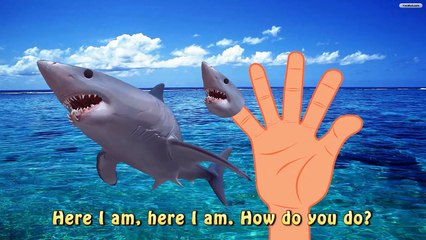 Finger Family Shark Super slow Nursery Rhymes - Learning sea animals for children