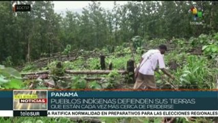 Indígenas panameños Ngäbe-Buglé continúan lucha por sus tierras