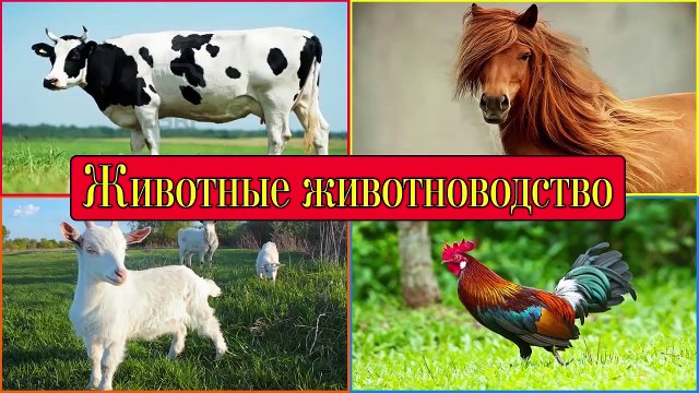 Транспорт для детей, изучаем машины и их звуки, мультфильм