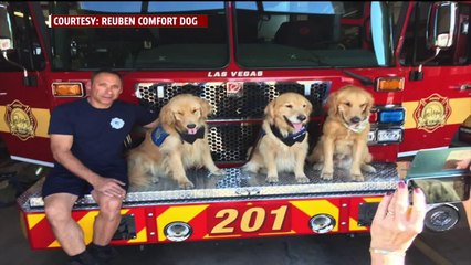 Télécharger la video: Comfort Dog Returns from Las Vegas to Help Wildfire Evacuees