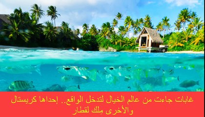 غابات جاءت من عالم الخيال لتدخل الواقع.. إحداها كريستال