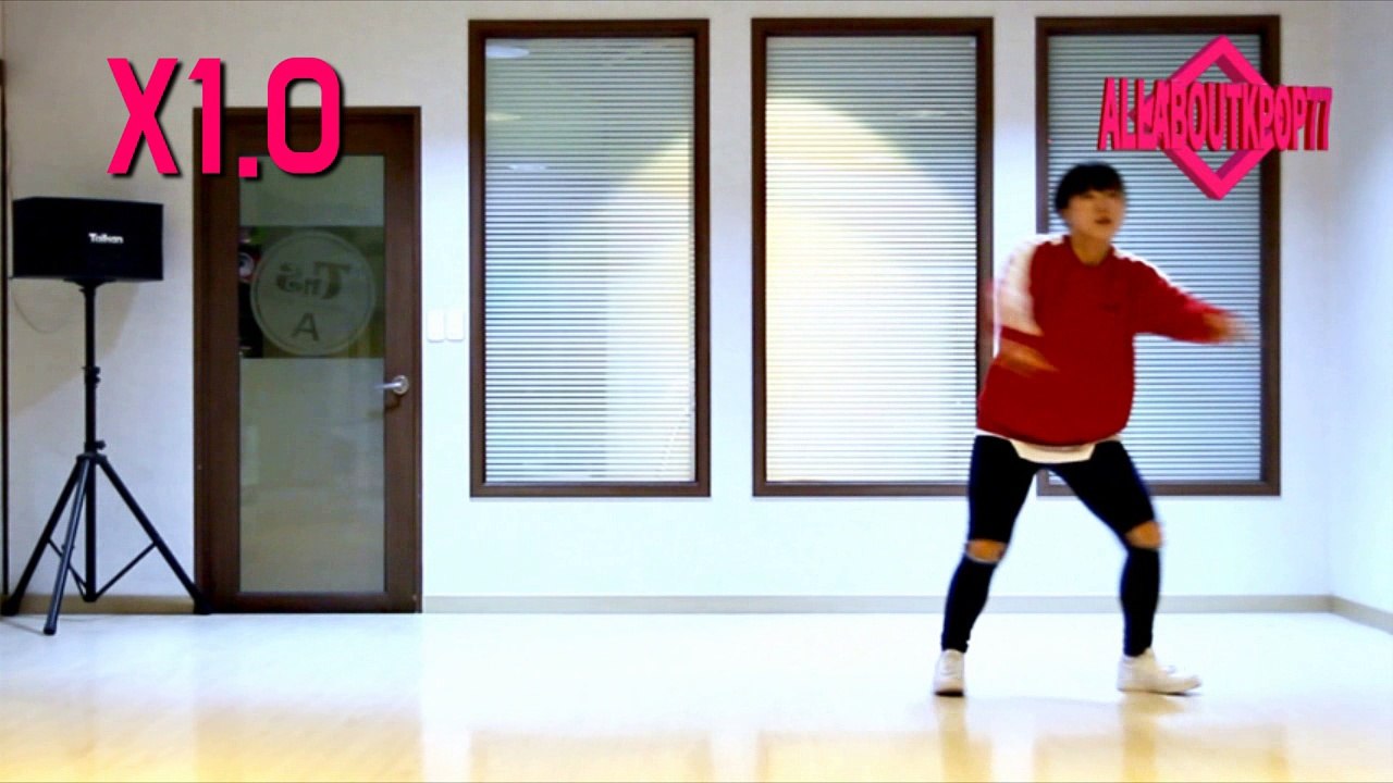 지드래곤 개소리 안무거울모드 느리게 (배속) G-DRAGON BULLSHIT COVER MIRRORED SLOW