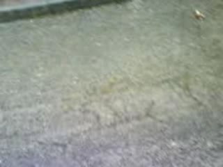 Lendemain de soirée du  BEC (rugby)