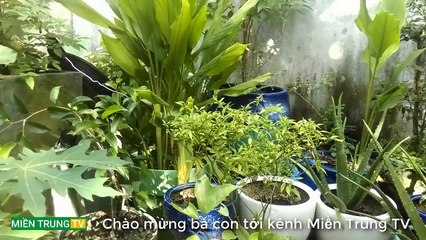 Giới Thiệu Kênh Miền Trung TV